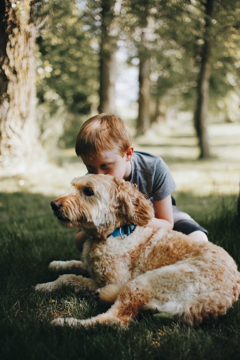 boy who's clearly comfortable cuddling his huge dog in the sunshine